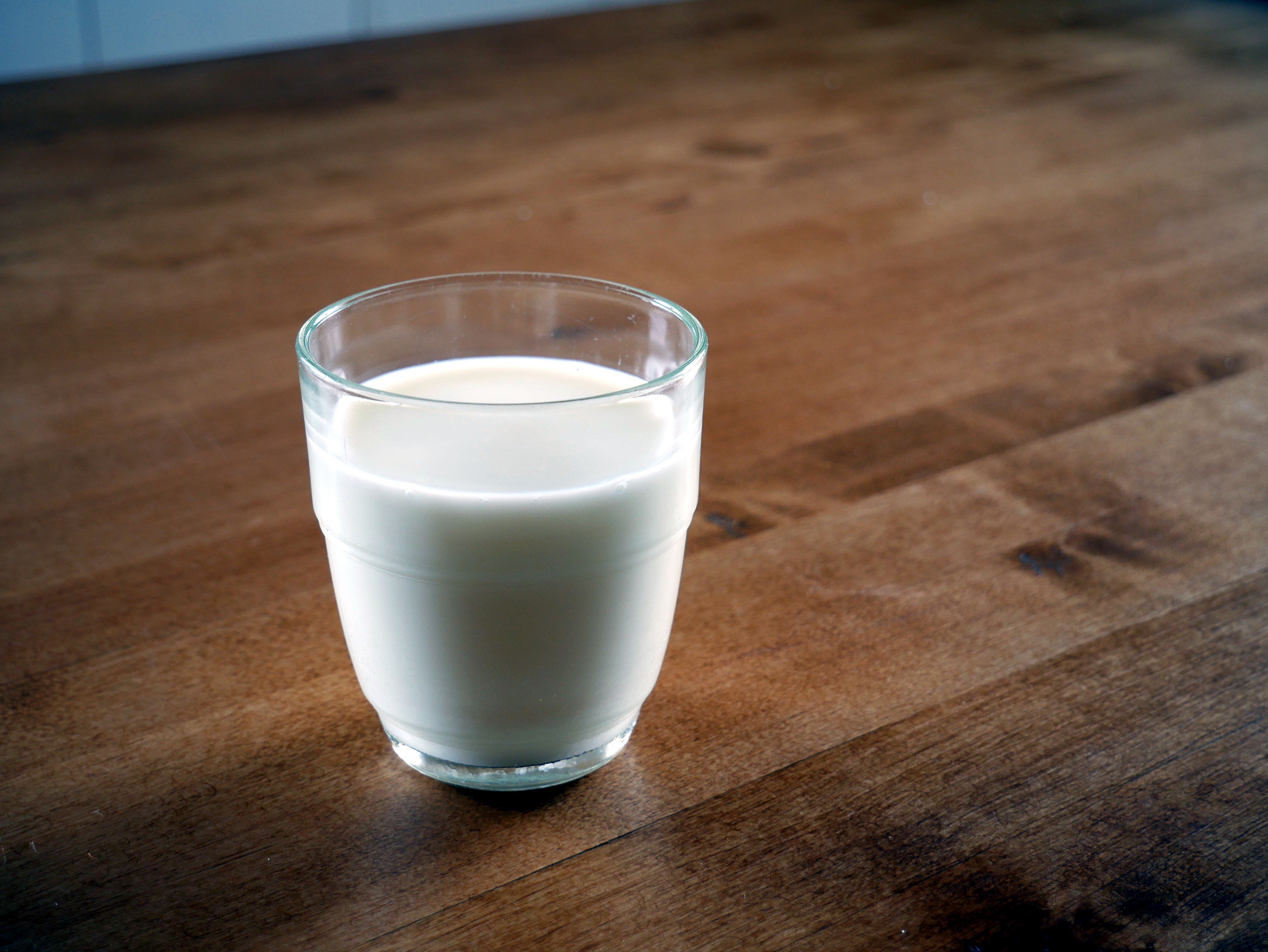 Horizon Organic Milk / Chocolate Milk