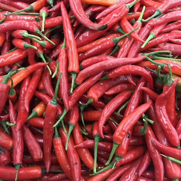 Fiery Serrano Peppers at MOD Pizza
